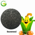 Organic Brown Seaweed Extract Fertilizer